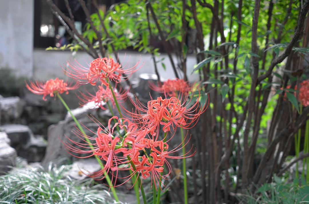 《刀下留人》剧照第16张图片