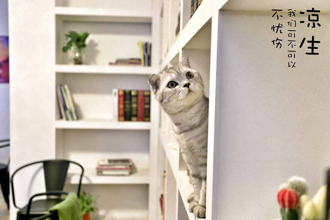 《凉生，我们可不可以不忧伤》剧照