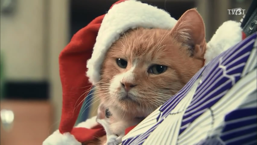 《X医生：外科医生大门未知子第4季》海报第37张图片