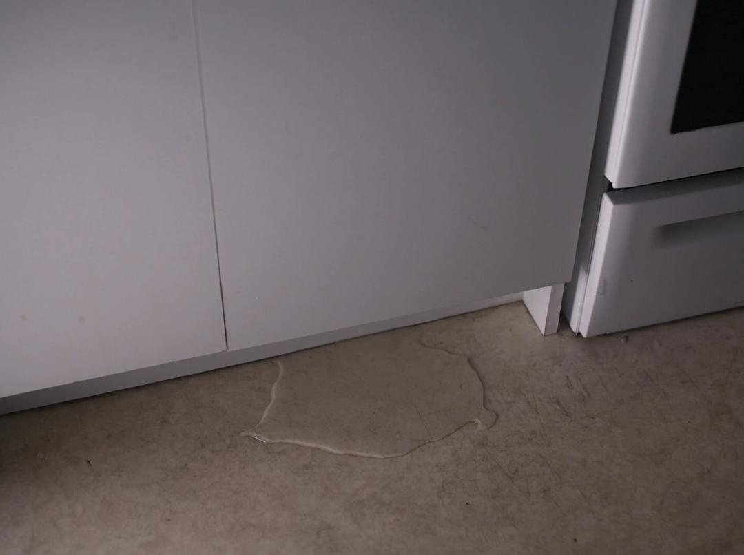 《心房客》剧照第17张图片