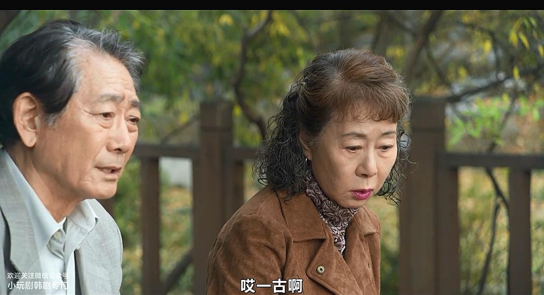 字幕组太不负责任了