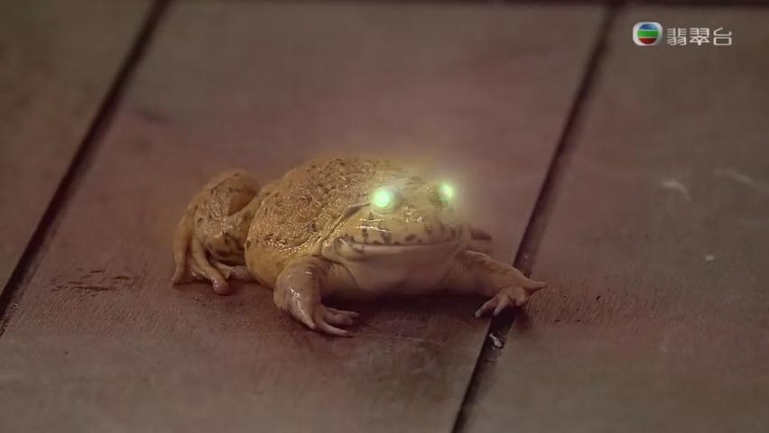 《财神驾到》剧照第26张图片