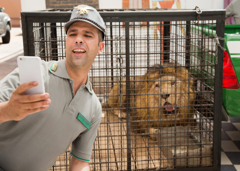 《我去哪儿？》剧照