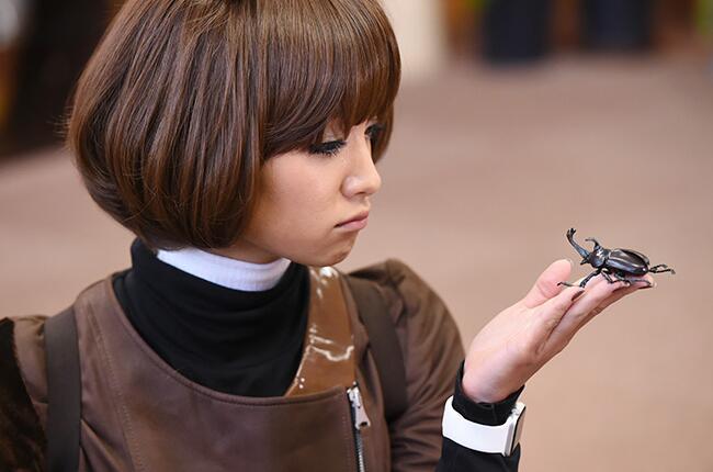 《租赁之恋》剧照第31张图片