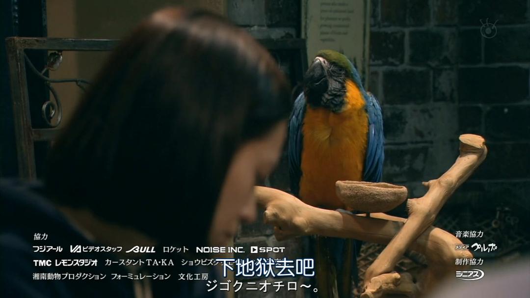 《谎言的战争》剧照第26张图片 《谎言的战争》剧照第26张图片