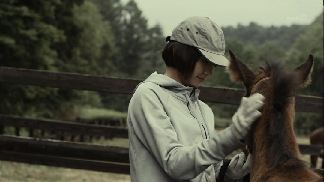 《羁绊：奔跑的奇迹小马》剧照第16张图片