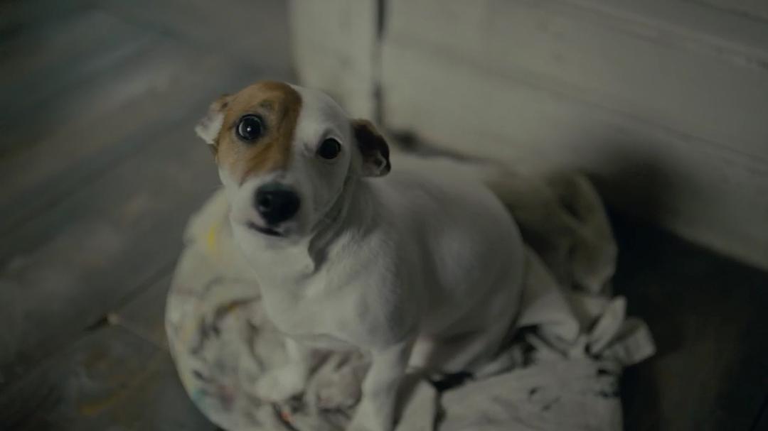 《丹麦女孩》海报第24张图片