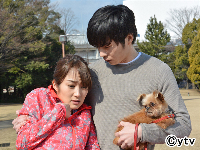 《爱情败犬向前冲》剧照第27张图片