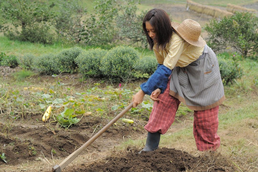 《雏鸟》剧照第55张图片