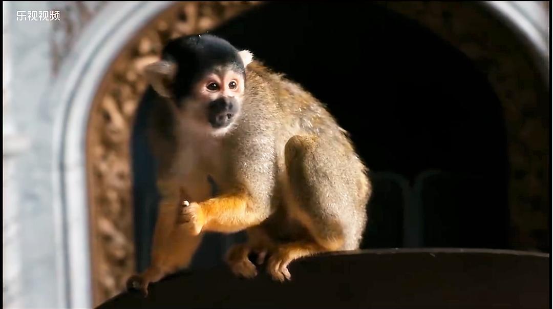 《我们的动物园》剧照第27张图片