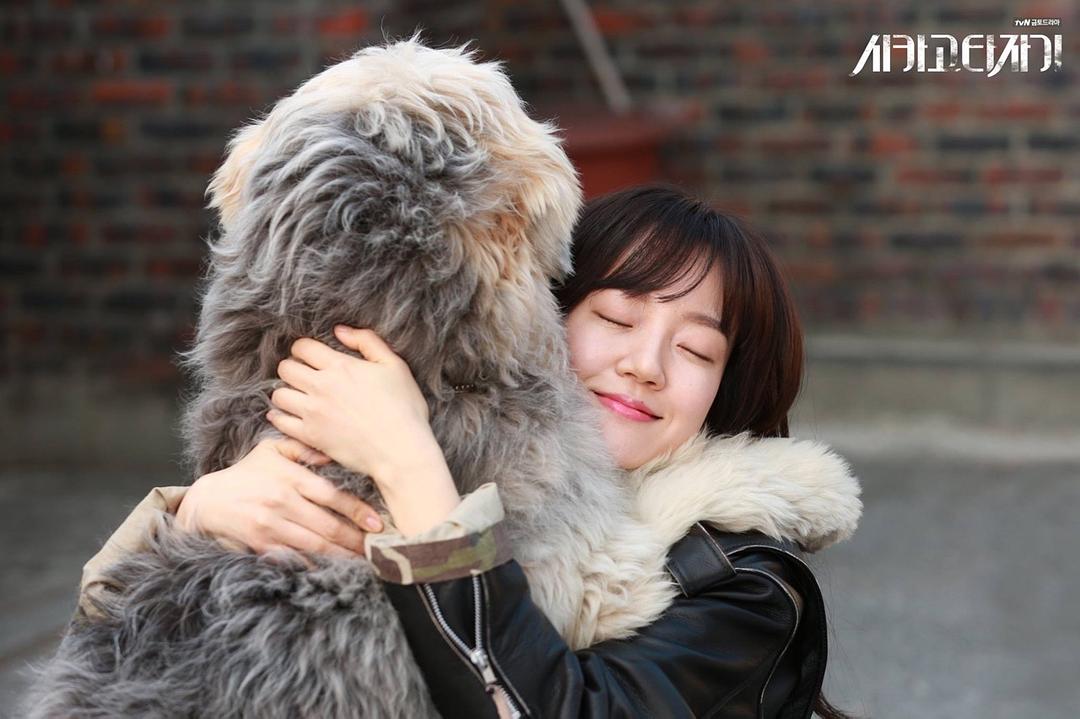 《芝加哥打字机》剧照第19张图片