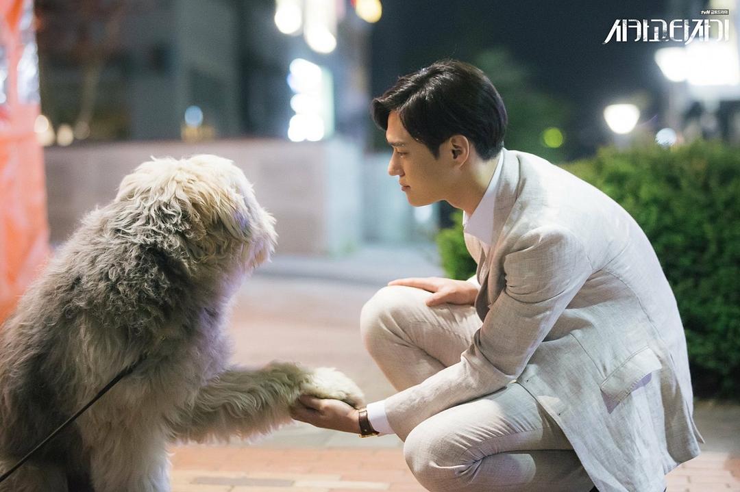 《芝加哥打字机》剧照第15张图片