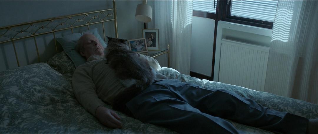 《一个叫欧维的男人决定去死》海报第11张图片