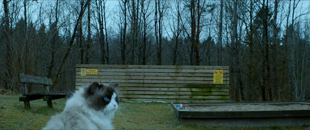 《一个叫欧维的男人决定去死》海报第12张图片