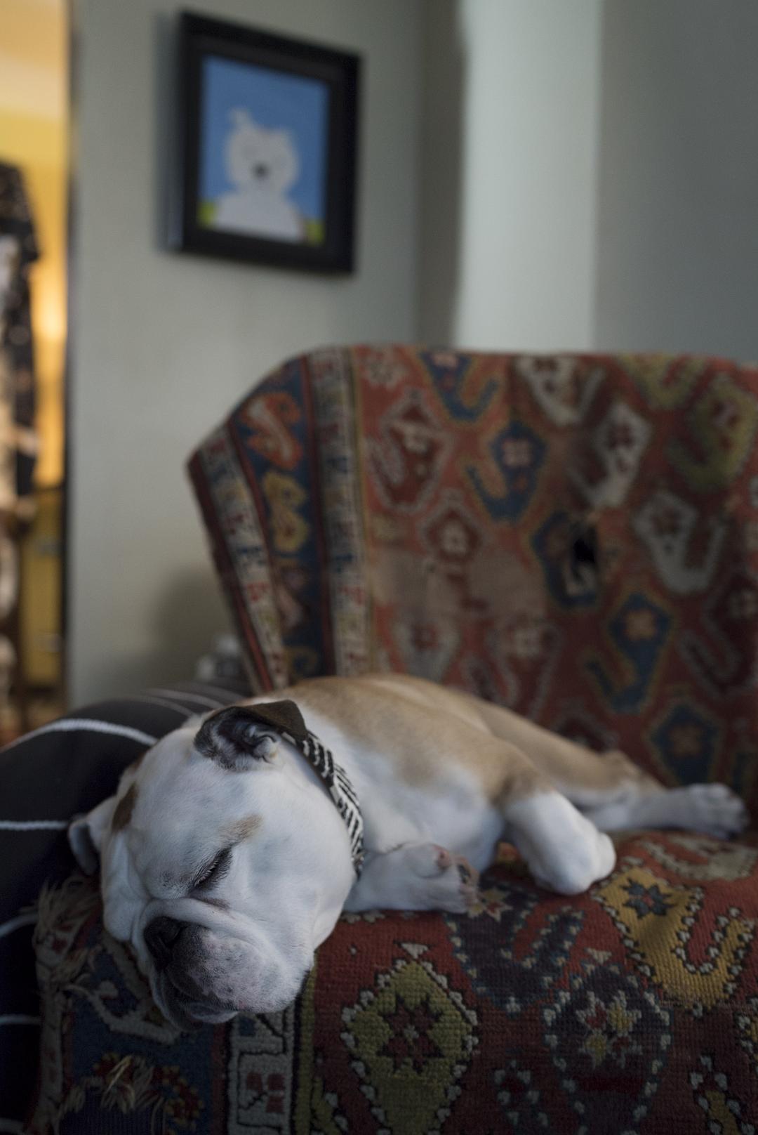 《帕特森》剧照第11张图片