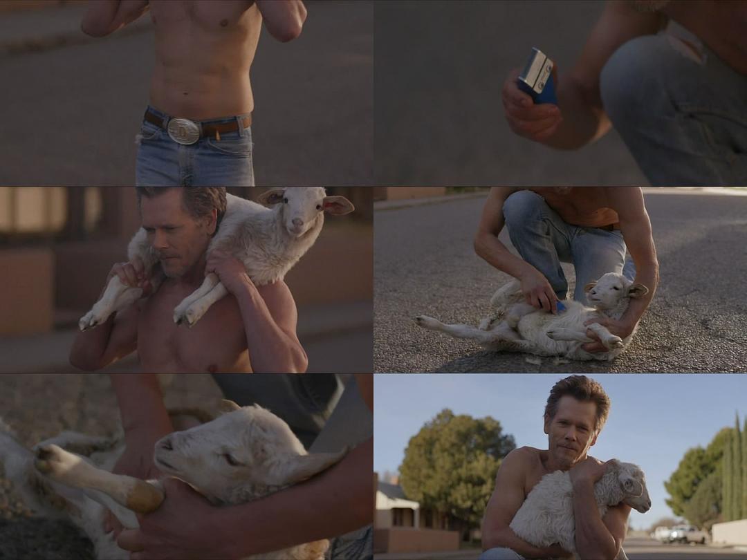 《我爱迪克》剧照