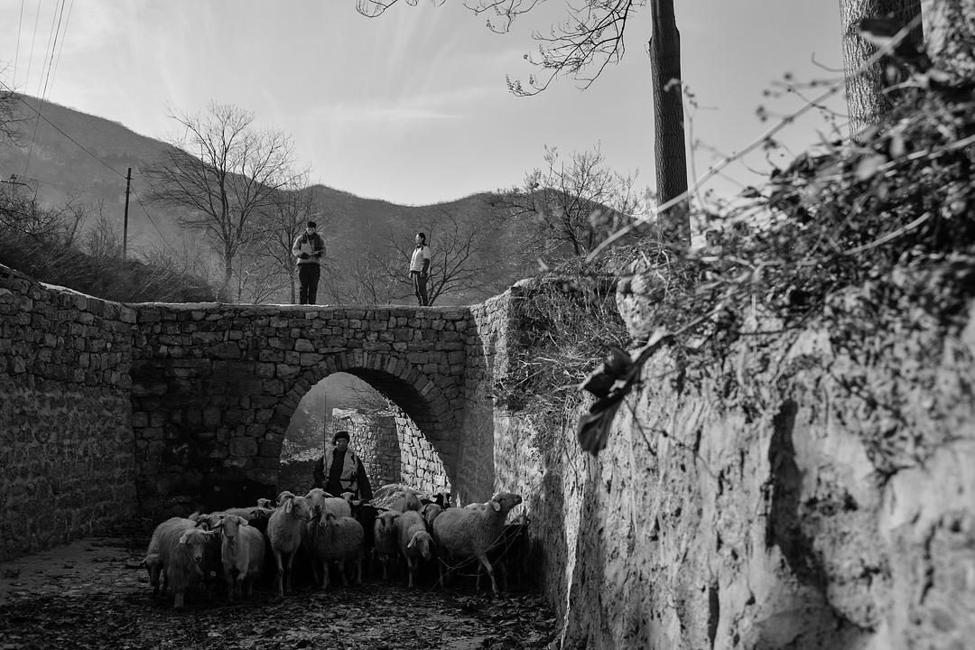 《村戏》剧照第17张图片