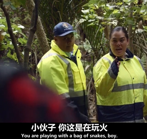 哈哈，貌似没人截这张...