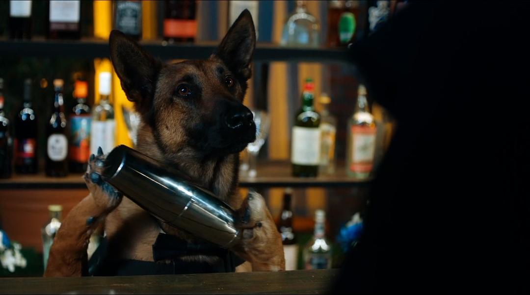 《爆笑女警第三季》剧照第2张图片