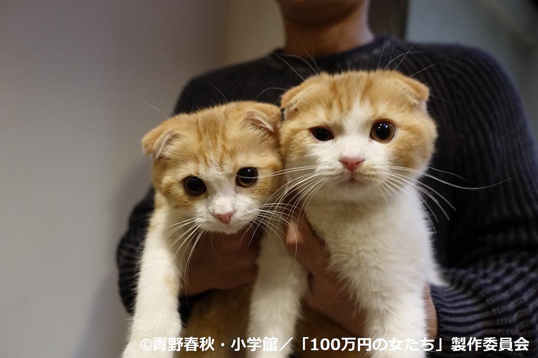 《百万日元的女人们》剧照