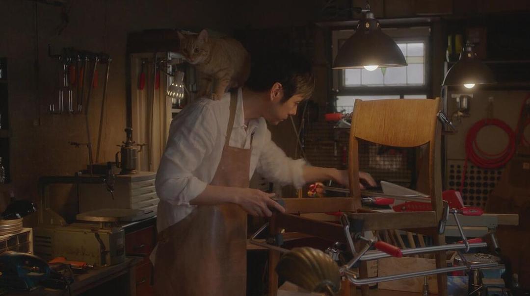 《毛毯猫》剧照第58张图片