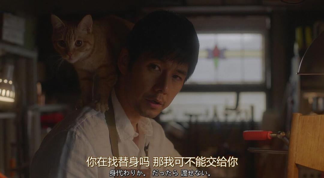 《毛毯猫》剧照第57张图片