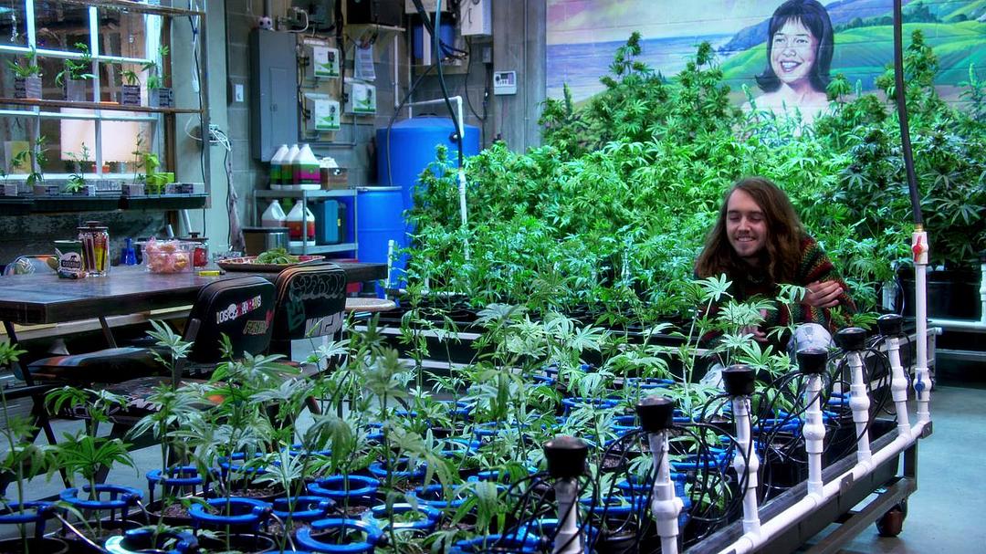 《生活大麻烦》剧照第43张图片