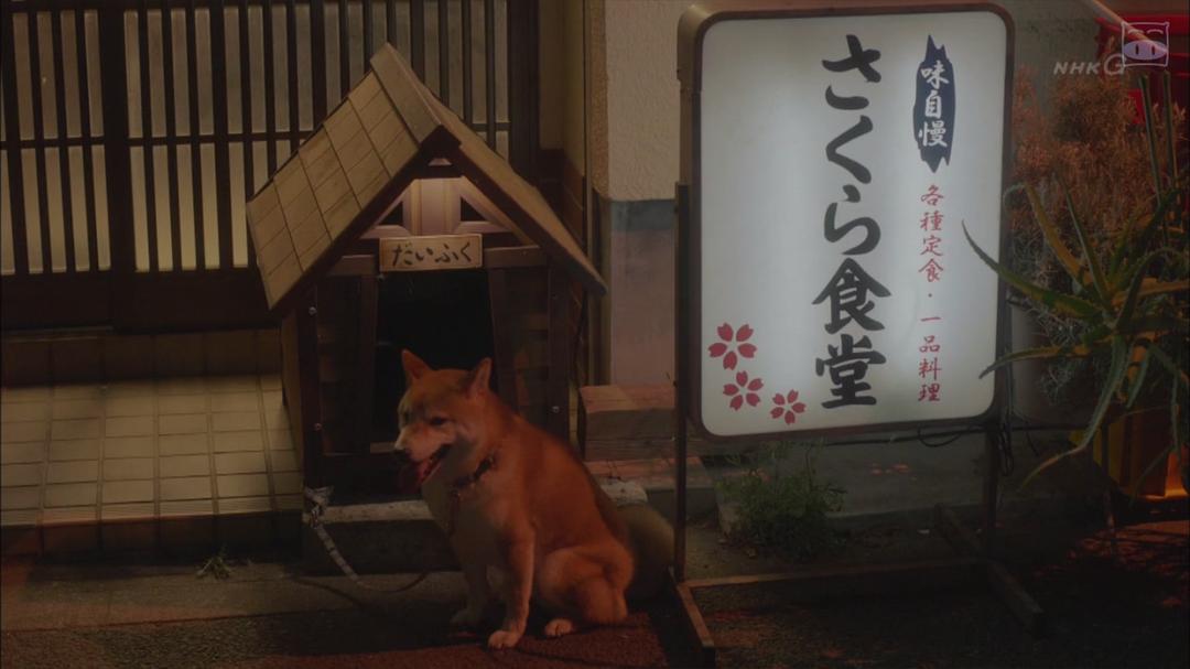 《毛毯猫》剧照第34张图片