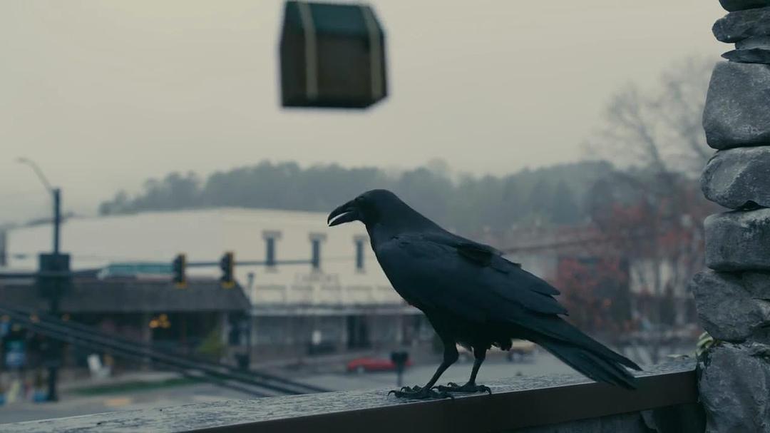 《追缉：炸弹客第一季》剧照第17张图片