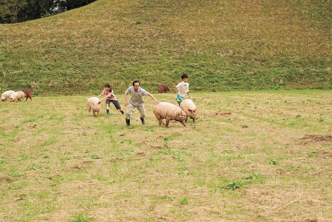 《生存家族》剧照