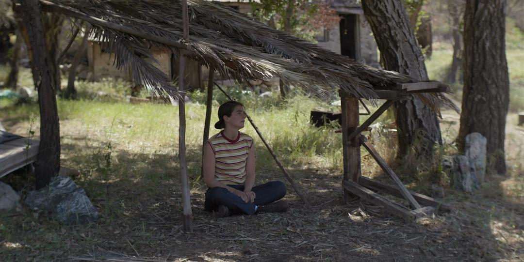 《透明家庭第四季》海报第25张图片