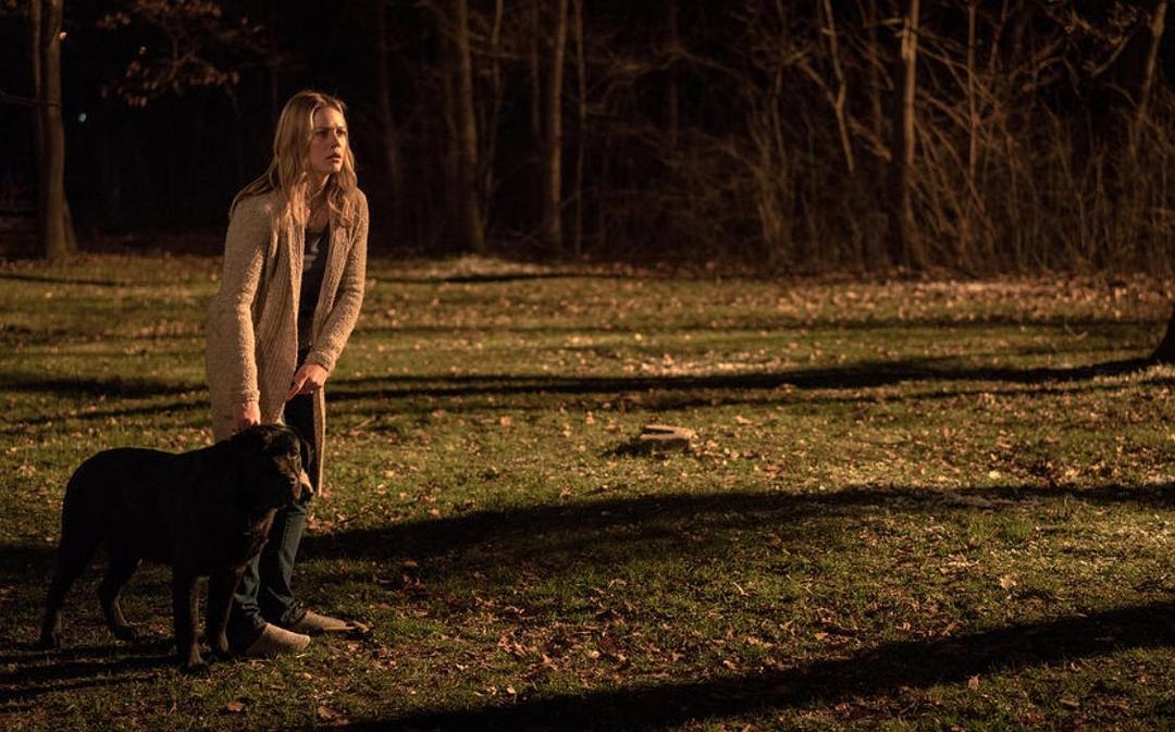 《失联第一季》剧照