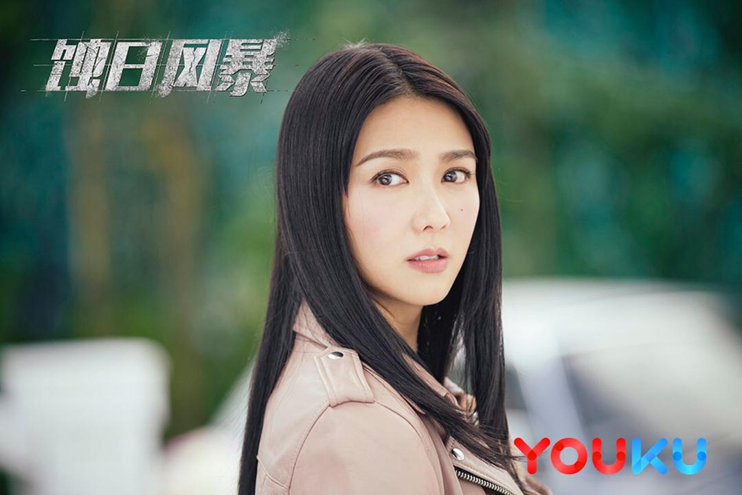 《蚀日风暴》剧照