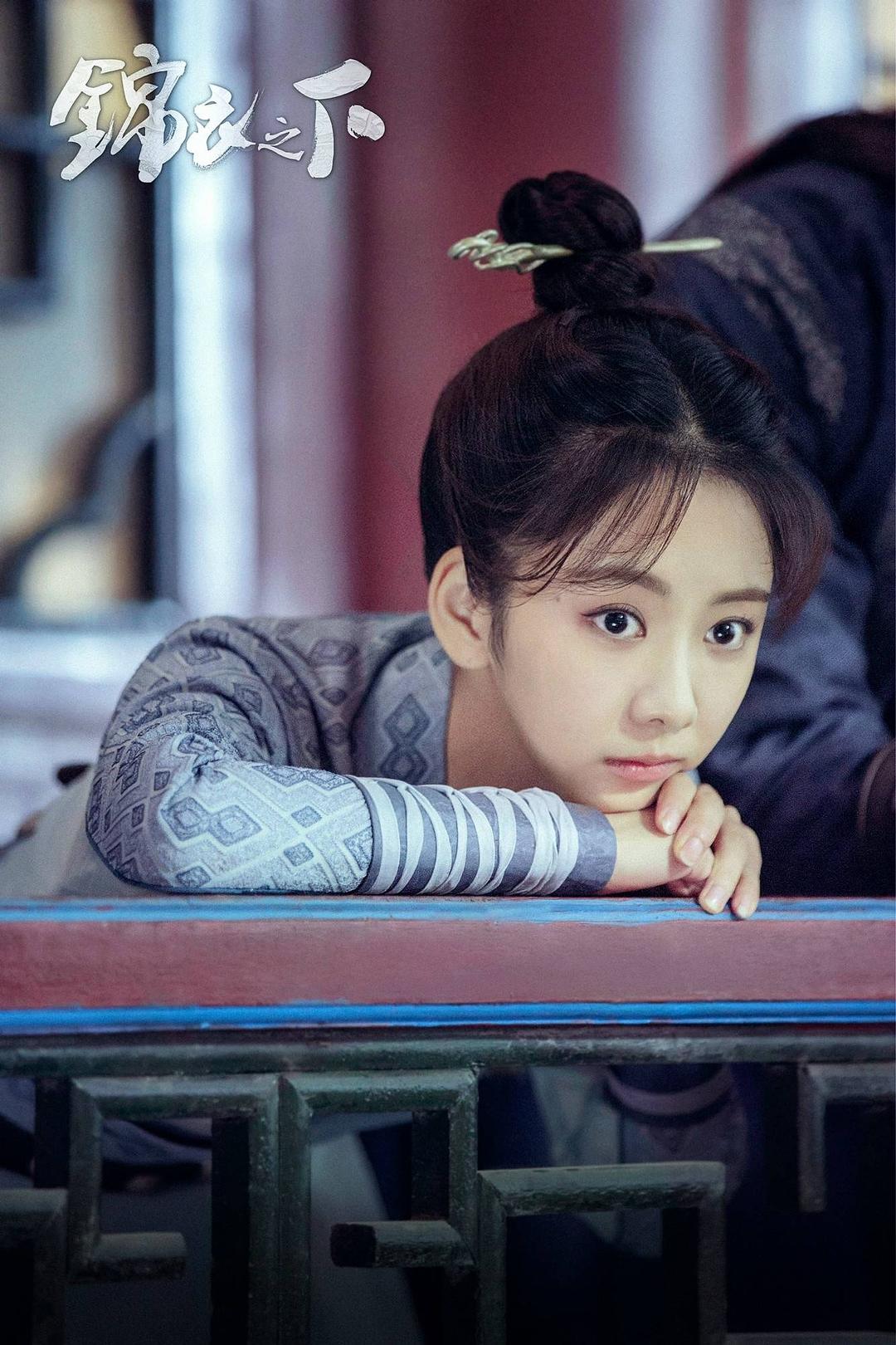 《锦衣之下》海报第18张图片