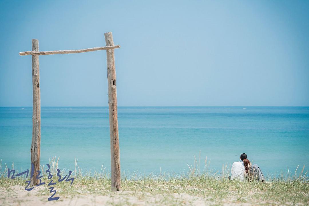 《沉迷爱情》海报第51张图片