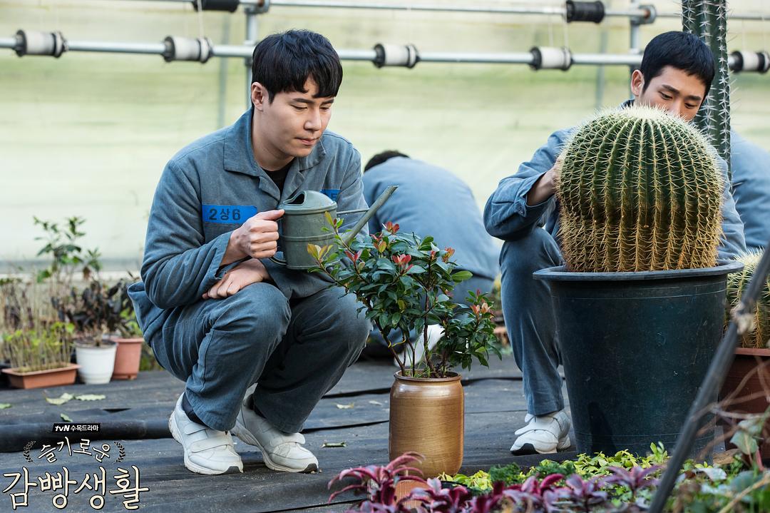 《机智牢房生活》剧照第41张图片