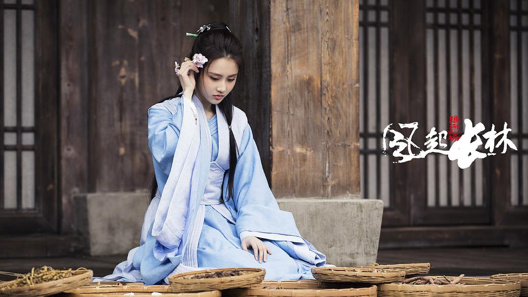 《琅琊榜之风起长林》海报第19张图片