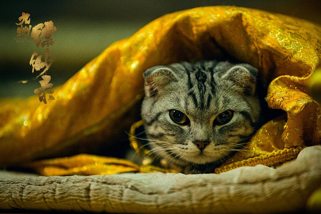 《九州缥缈录》剧照