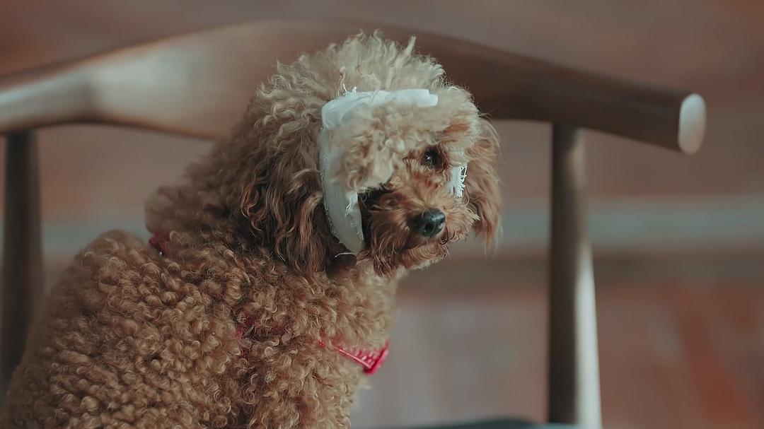 《恋爱先生》剧照第58张图片