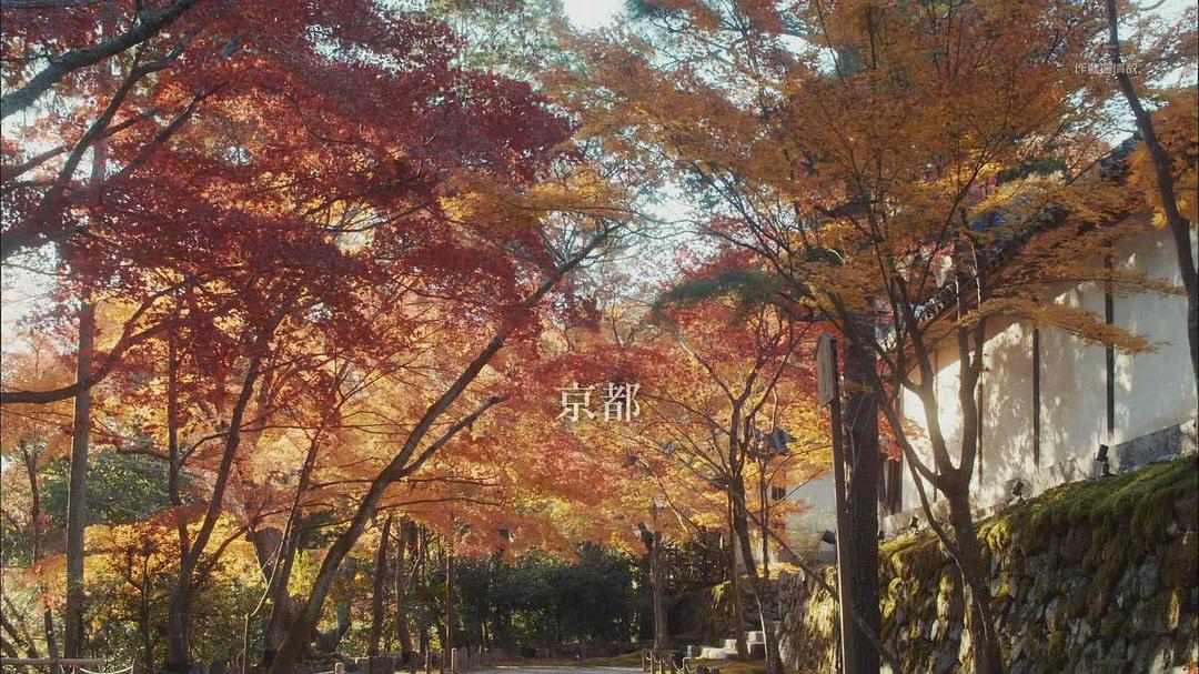 《平成细雪》剧照第3张图片 《平成细雪》剧照第3张图片