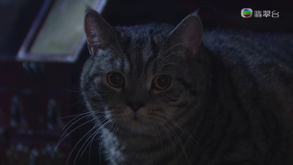 《平安谷之诡谷传说》剧照