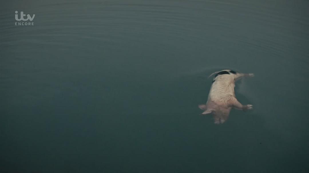 《弗兰肯斯坦传奇第一季》剧照第29张图片