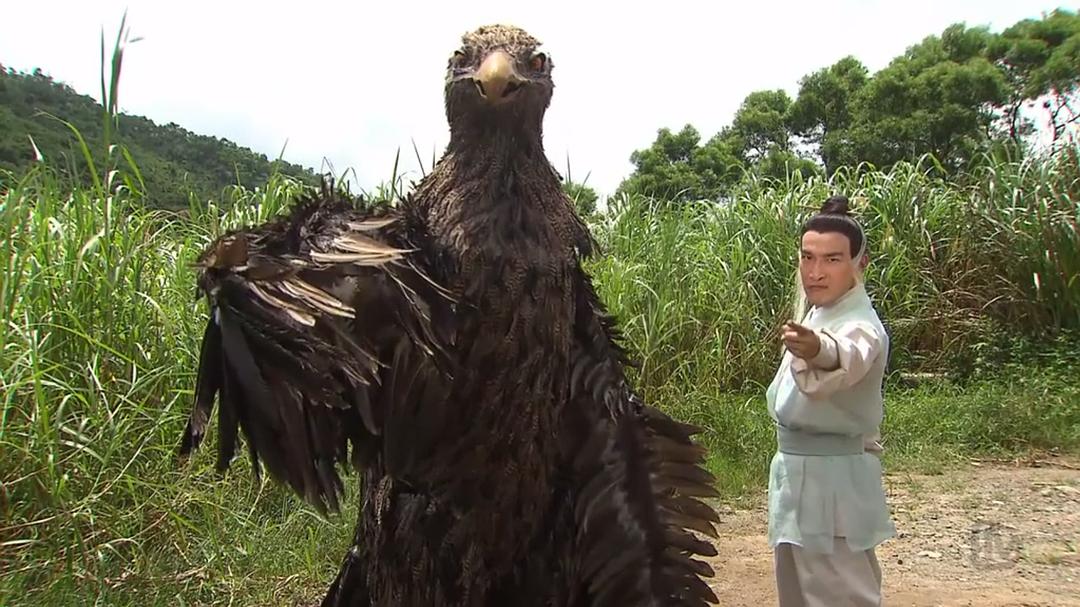 《翻生武林》剧照第46张图片