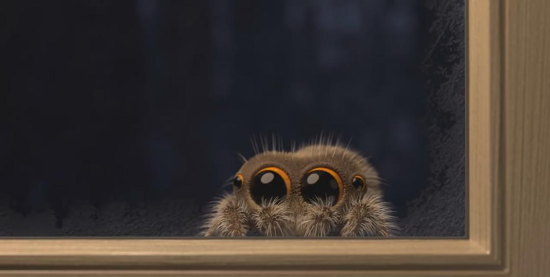 《小蜘蛛卢卡斯》海报第14张图片