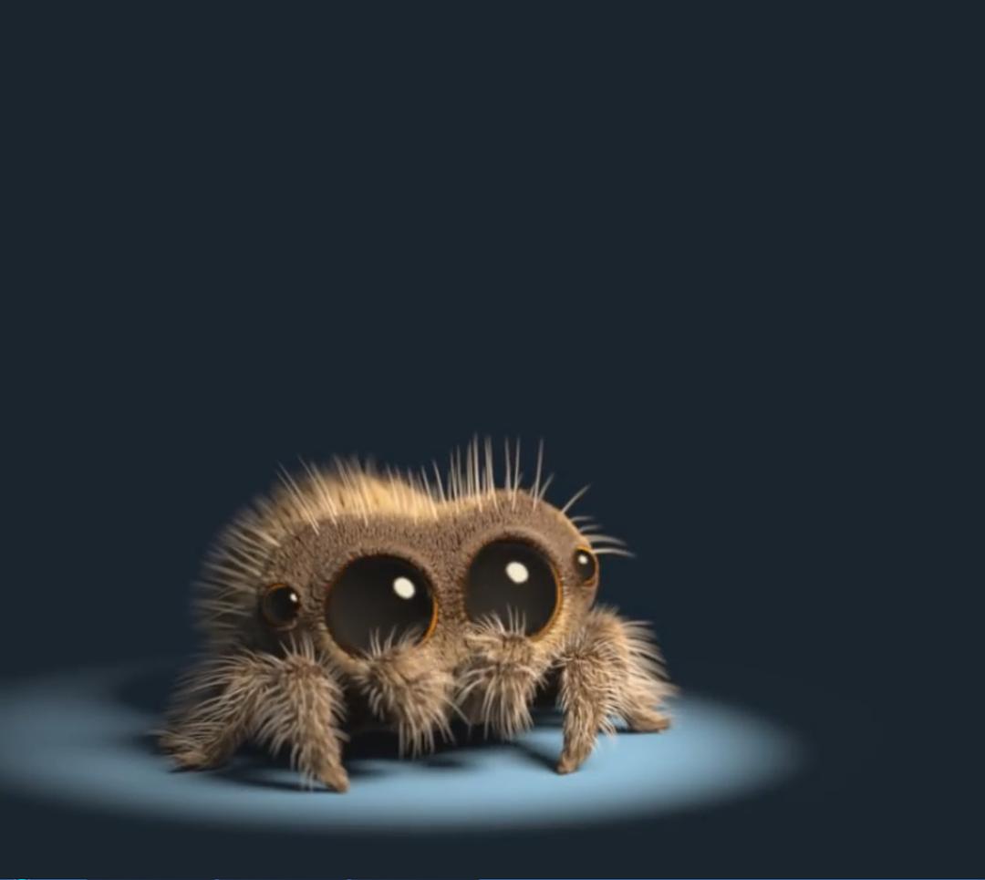 《小蜘蛛卢卡斯》海报第5张图片