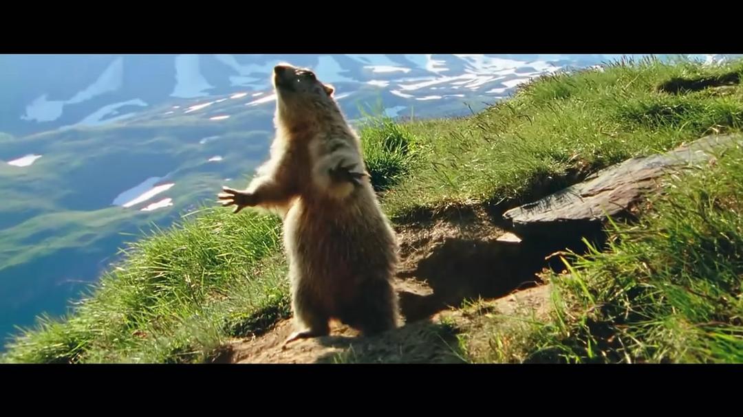 《海蒂和爷爷》剧照第56张图片