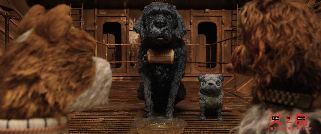 《犬之岛》剧照第27张图片