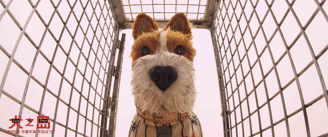 《犬之岛》剧照第34张图片