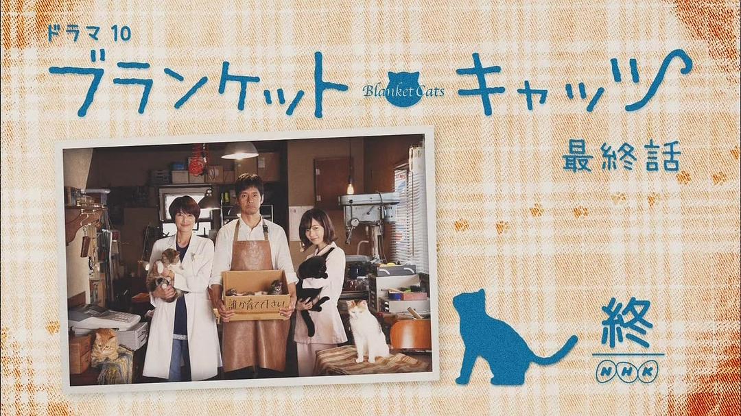 《毛毯猫》剧照