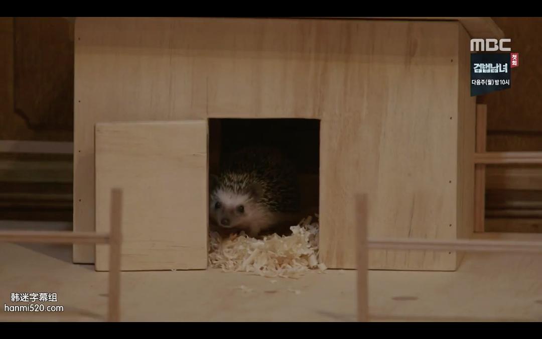 《疯了，因为你！》剧照第35张图片